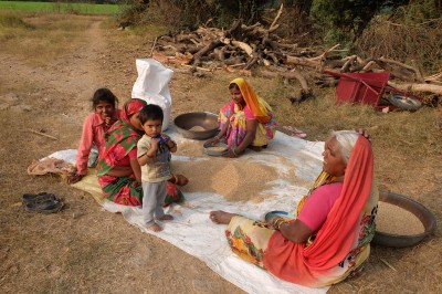 Women grading wheat