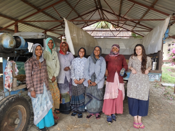 Wheat Harvesters with Anjali Apr 2026