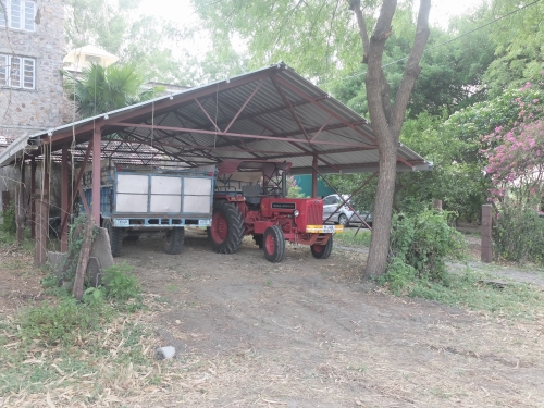 Wheat Laden Trollies Under Grain Port May 2025