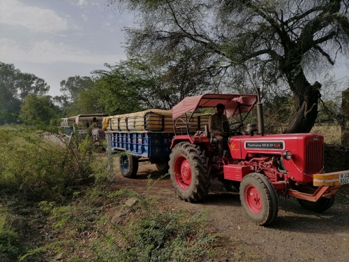 Wheat off to the Mandi May 2026